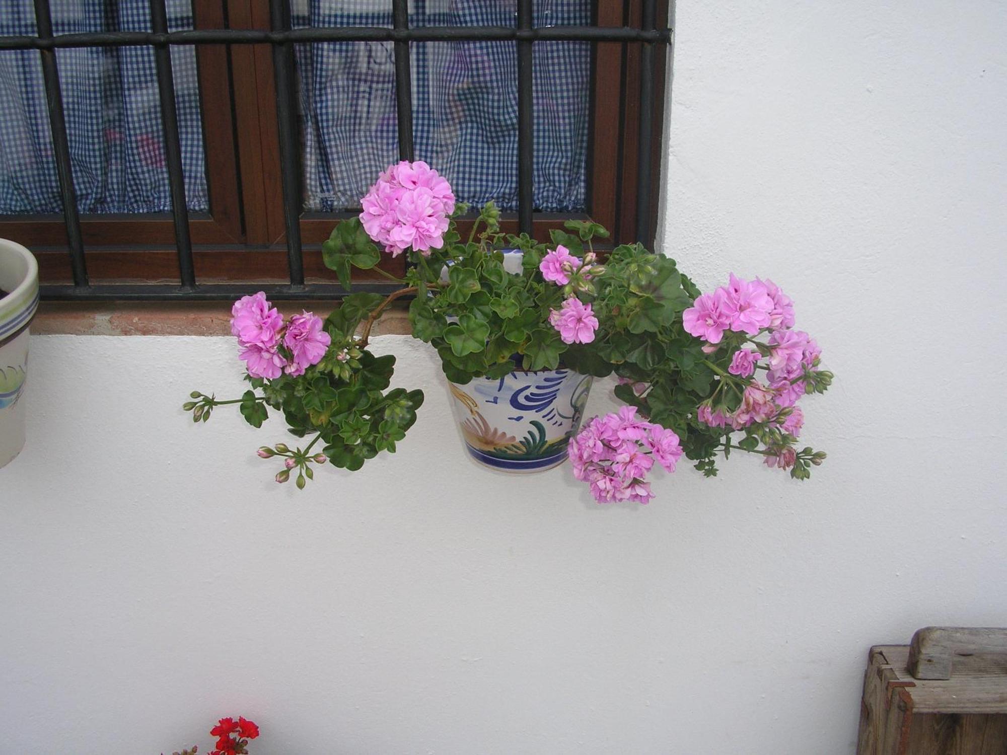 Casa Rural Y Restaurante Casa Adriano Guest House Alanis Luaran gambar