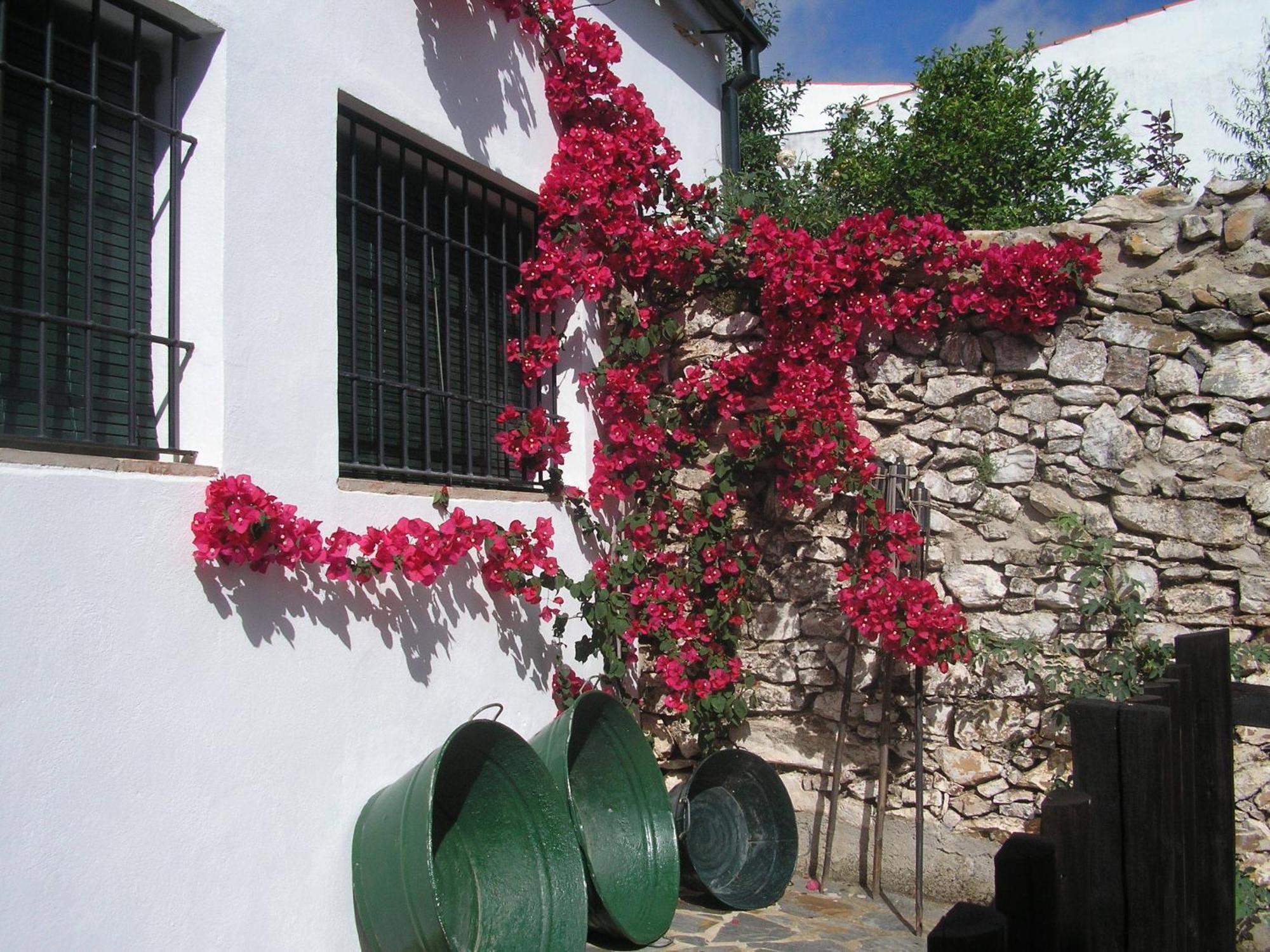 Casa Rural Y Restaurante Casa Adriano Guest House Alanis Luaran gambar